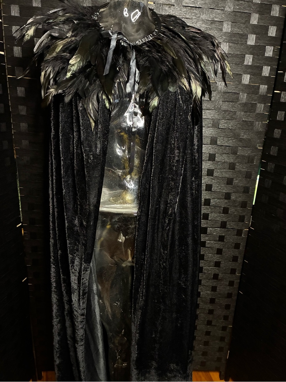 Whimsigoth Evil Queen Witch Vampire Dramatic Feather Black Velvet Cape Costume